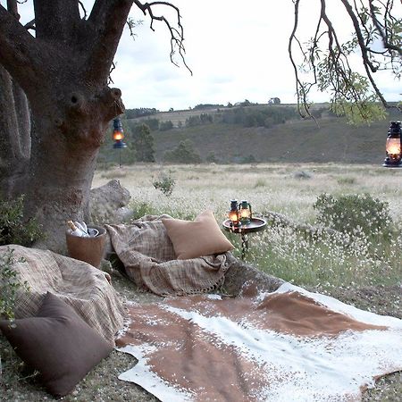 Gondwana Game Reserve Herbertsdale Esterno foto