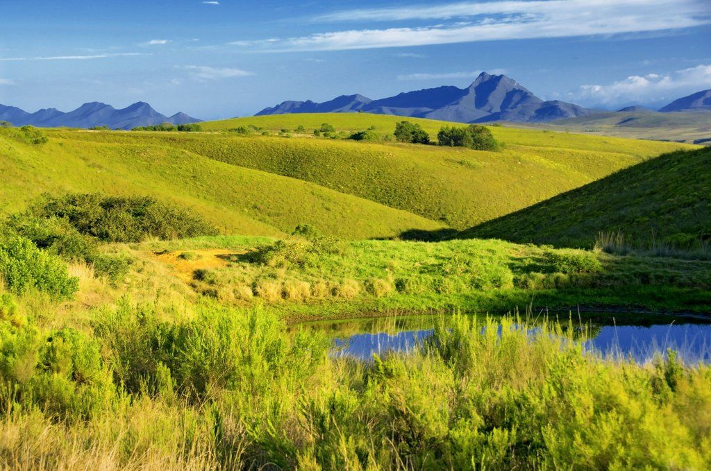 Gondwana Game Reserve Herbertsdale Esterno foto