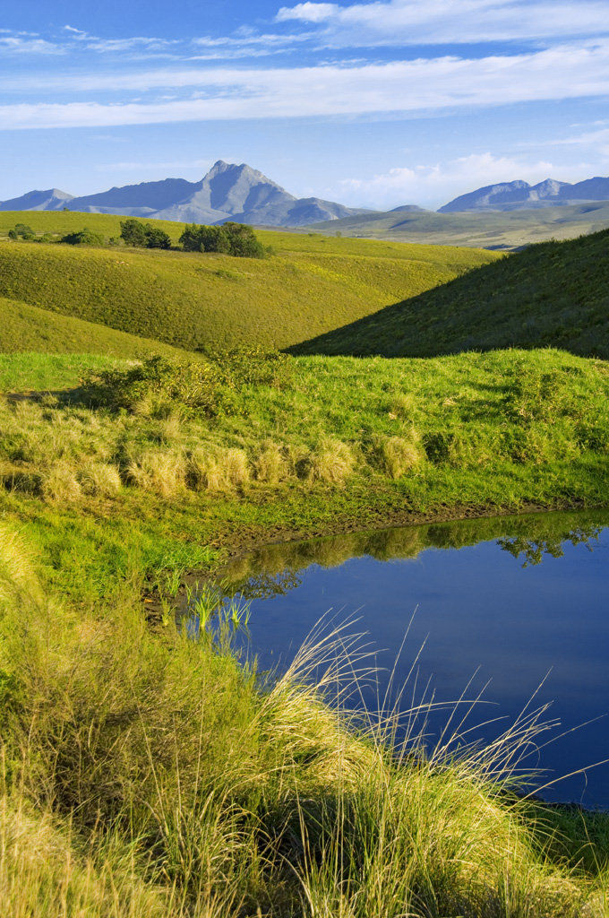 Gondwana Game Reserve Herbertsdale Esterno foto