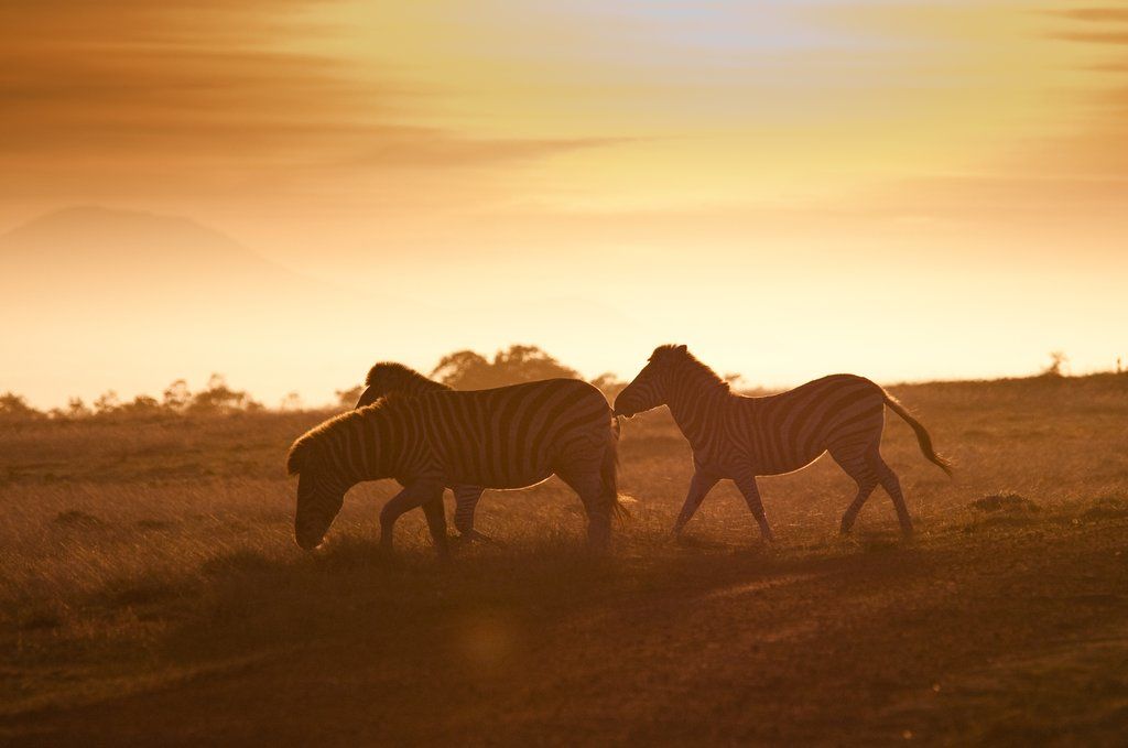 Gondwana Game Reserve Herbertsdale Esterno foto