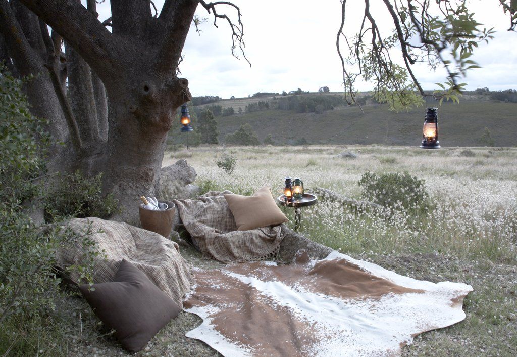 Gondwana Game Reserve Herbertsdale Esterno foto