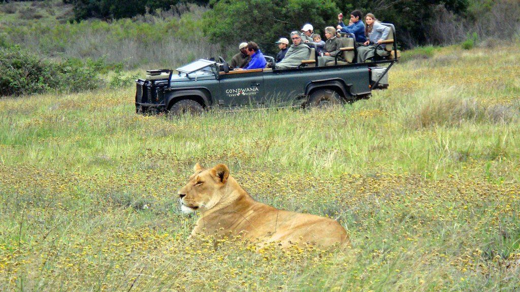 Gondwana Game Reserve Herbertsdale Esterno foto