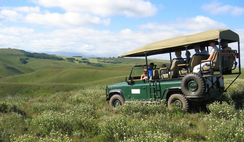 Gondwana Game Reserve Herbertsdale Esterno foto